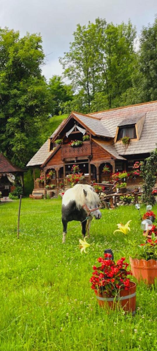 Pensiunea Rustic Oncesti - Housity