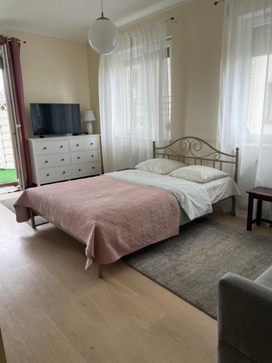 Zielone Studio - Hizvo