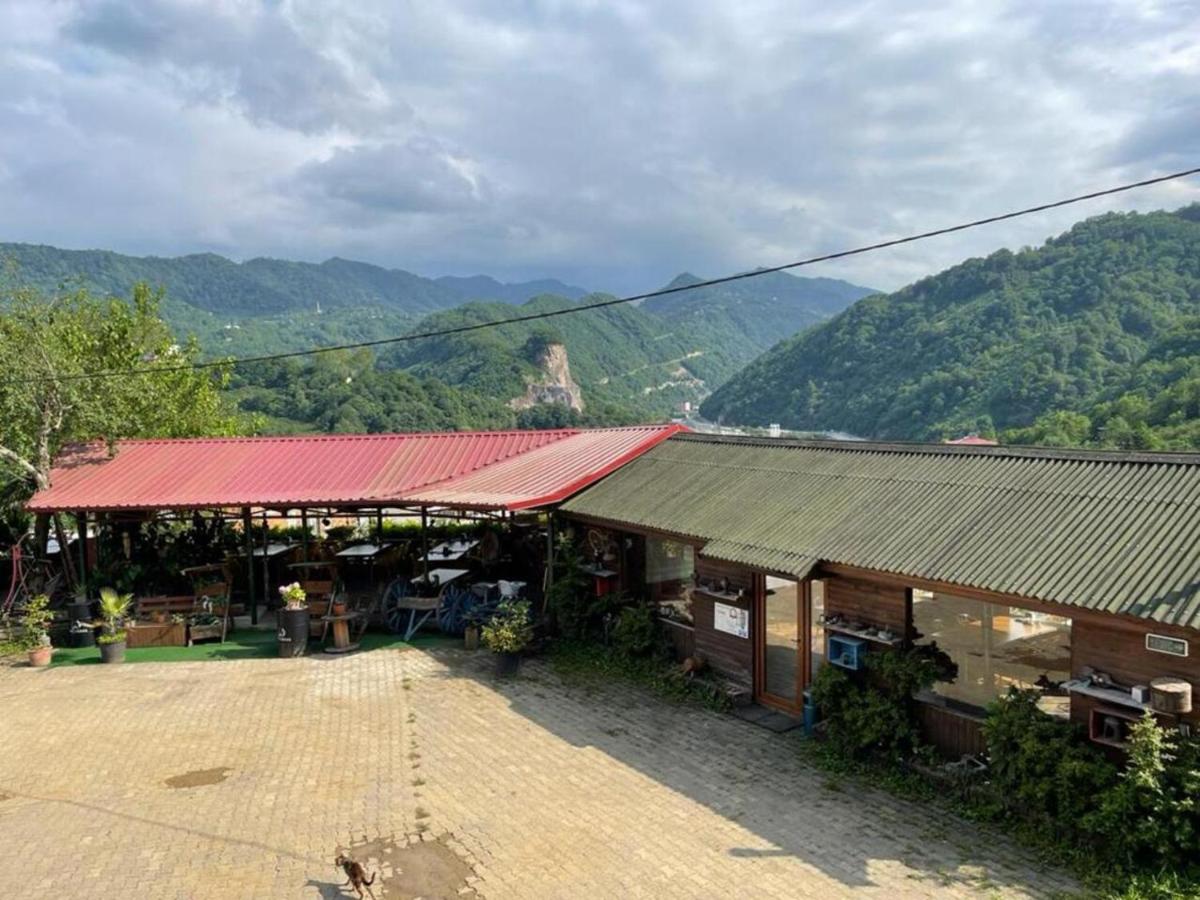 AYVADERE 102 Karadeniz kus cenneti dağ manzaralı - Housity