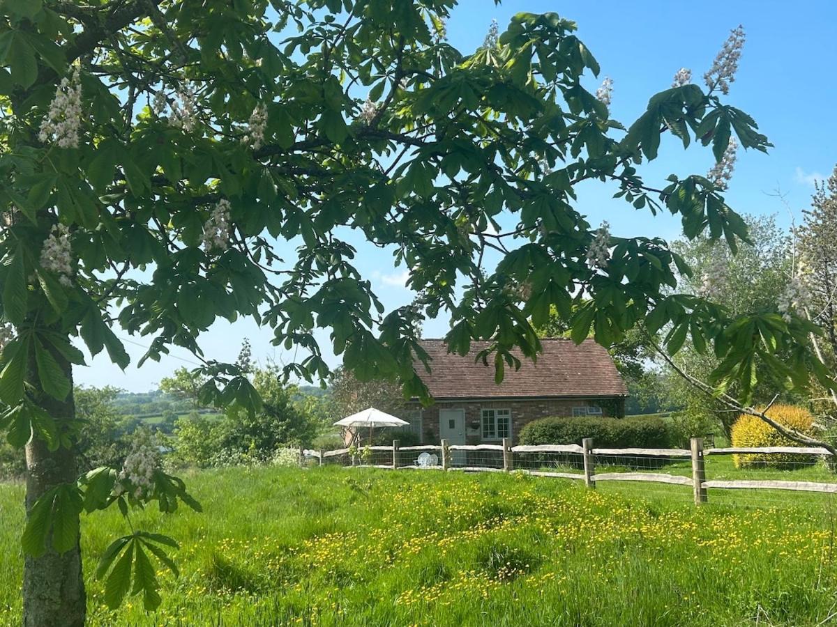 The Piggery, a perfect country hideaway - Housity