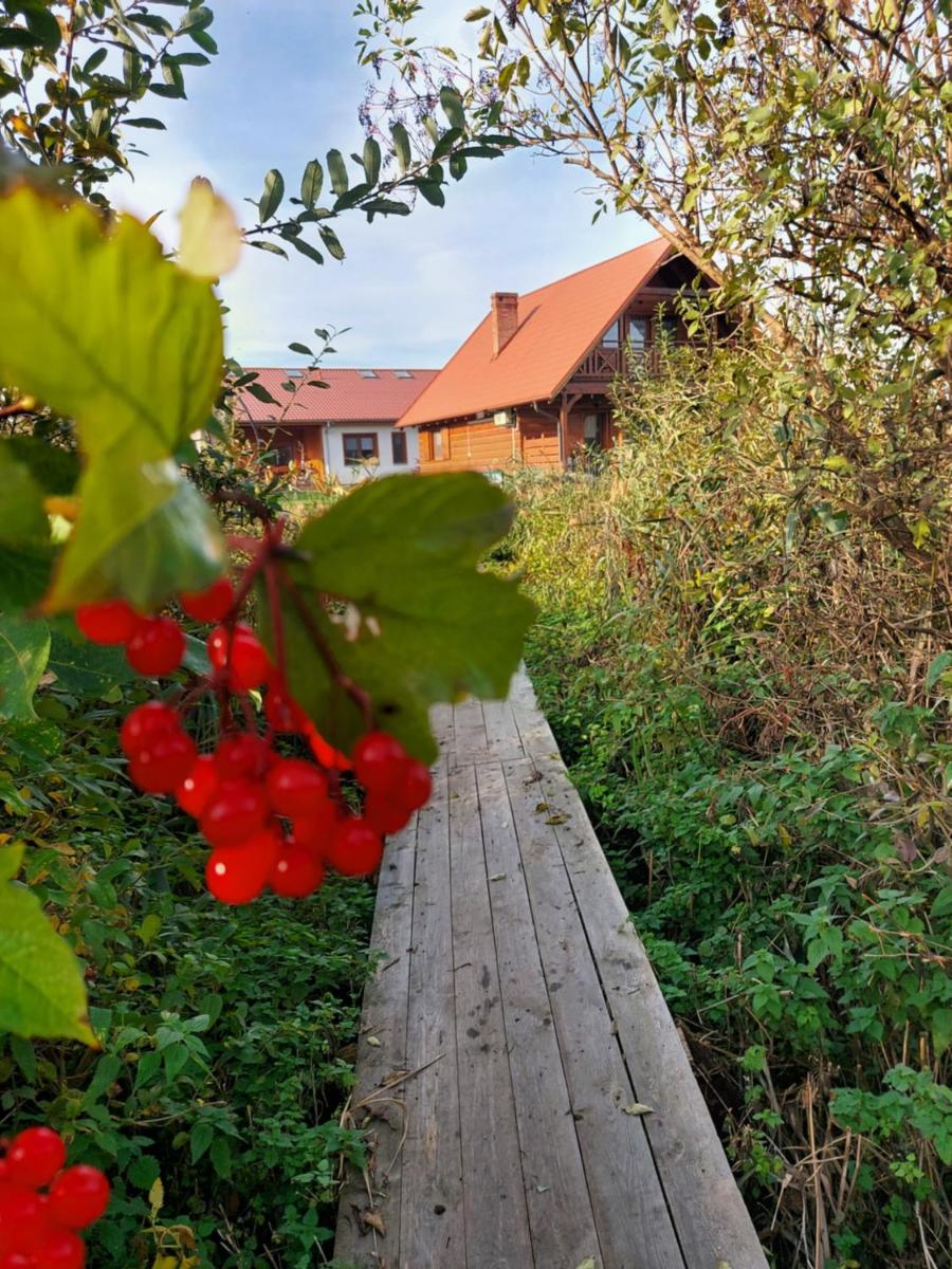 Domki Lawendowy Zakątek - Housity