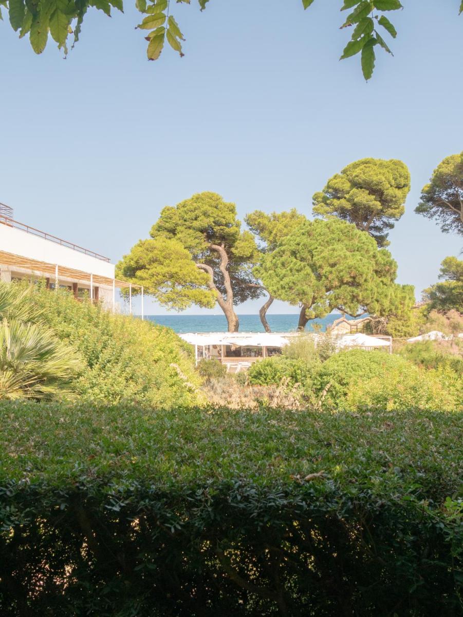 Paisaje cerca de este hotel