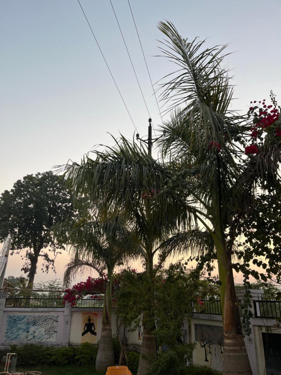 Sunrise Bed & Breakfast - Housity