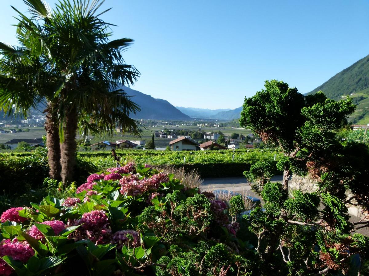 Pension Hauenstein - Housity