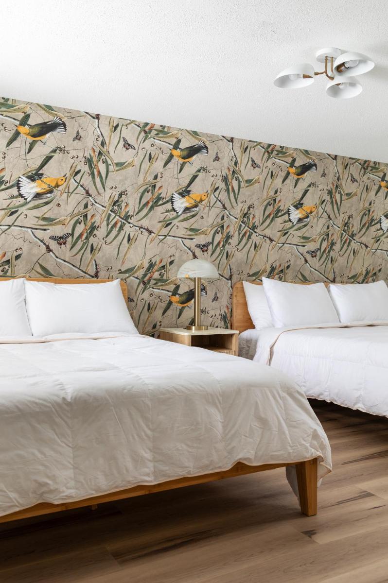 The Windmoor Lodge - Housity