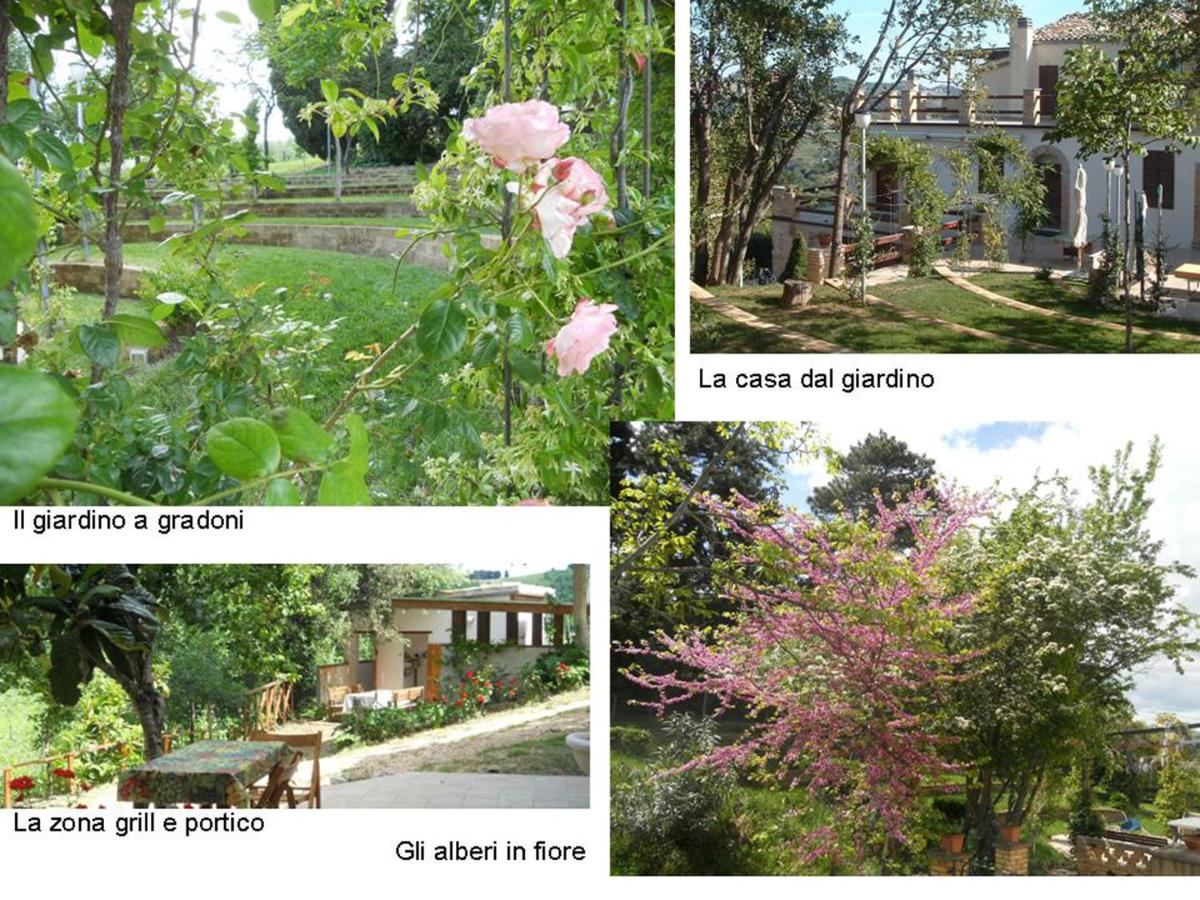 Agriturismo Il Palmarone - Housity