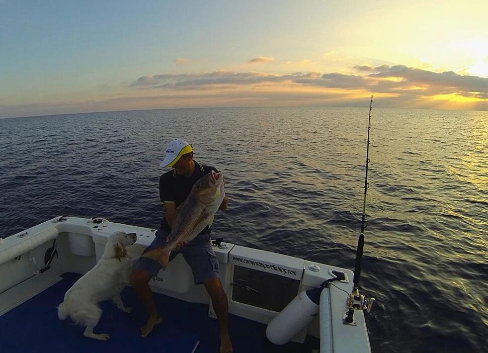 I Fiori di Donna Ester - Housity