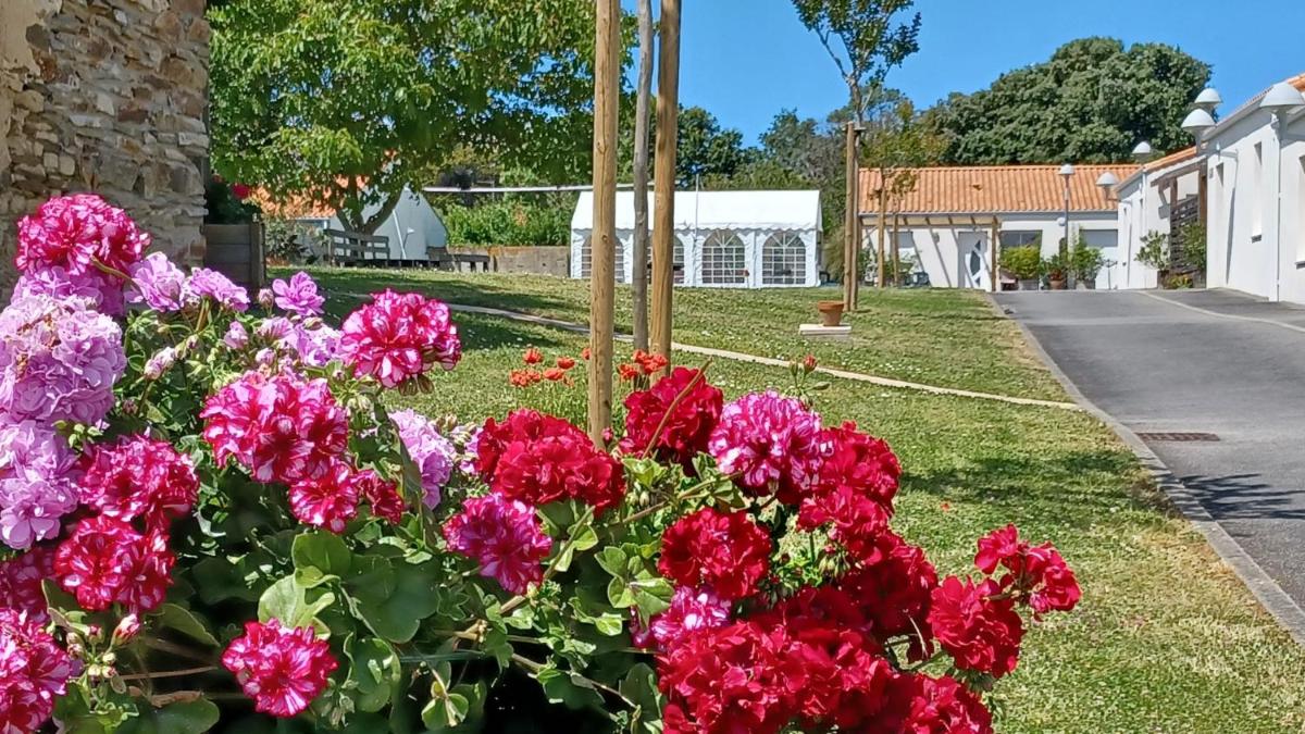 Jardin de l'établissement Résidence Les Océanes
