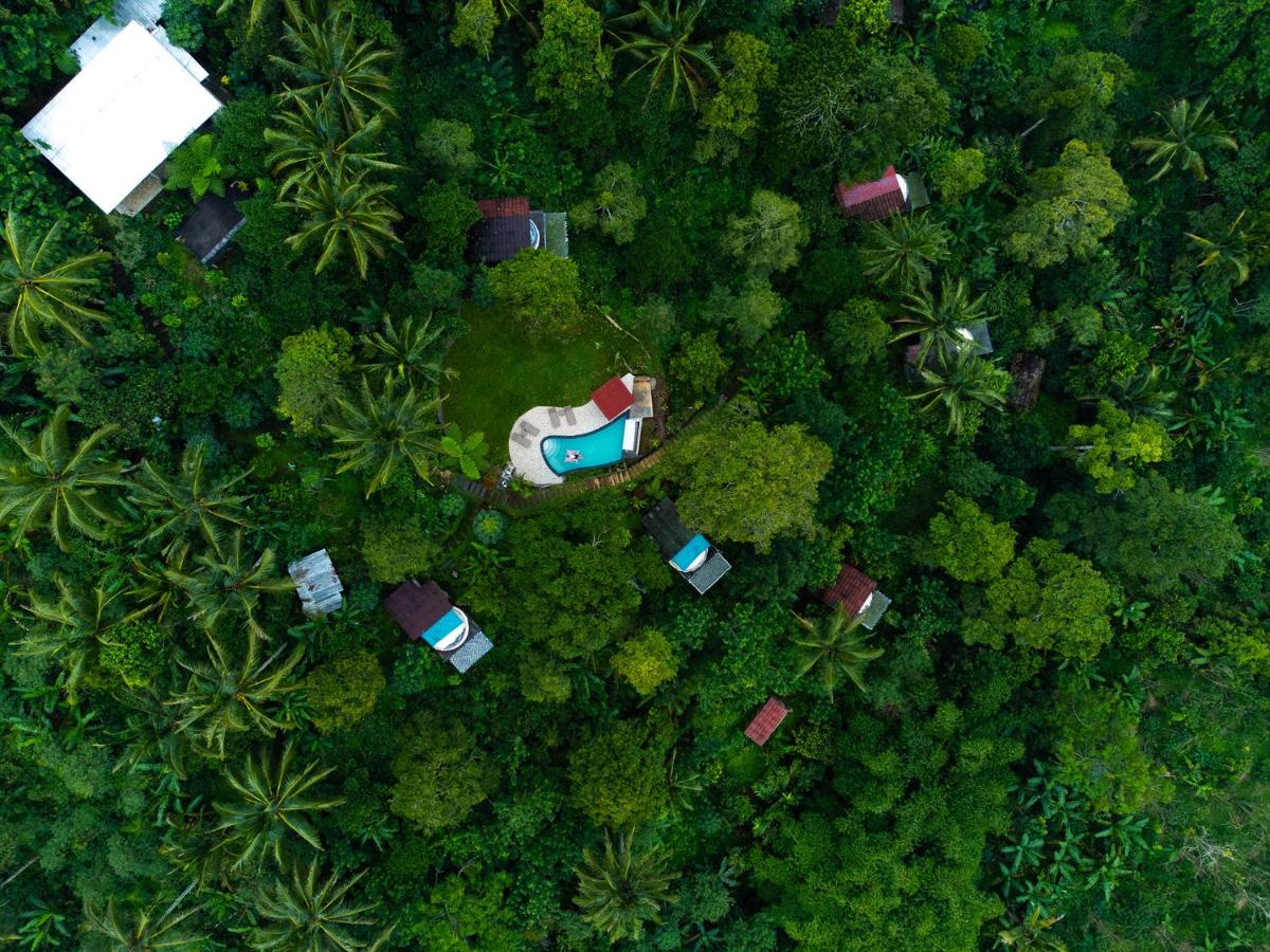 Bali Jungle Camping by Amerta Experience - Housity