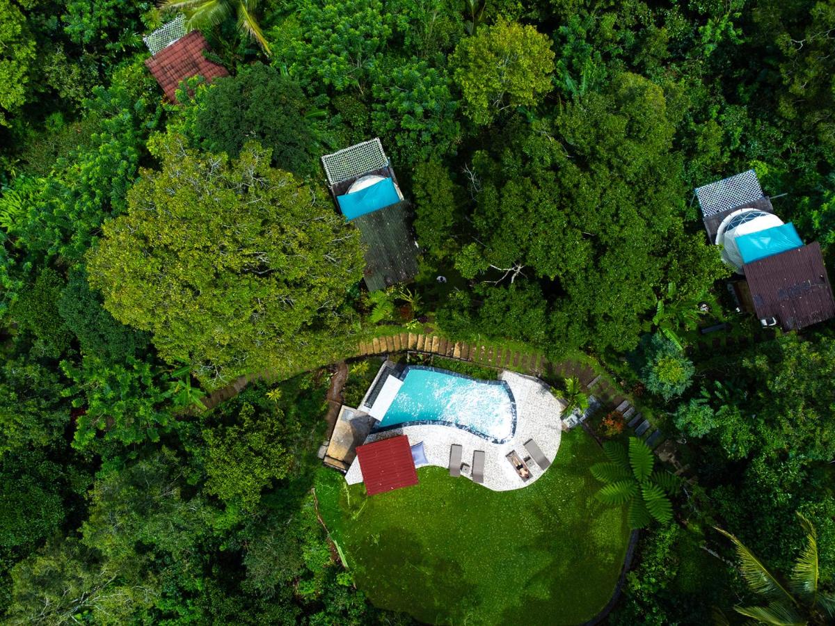 Bali Jungle Camping by Amerta Experience - Housity