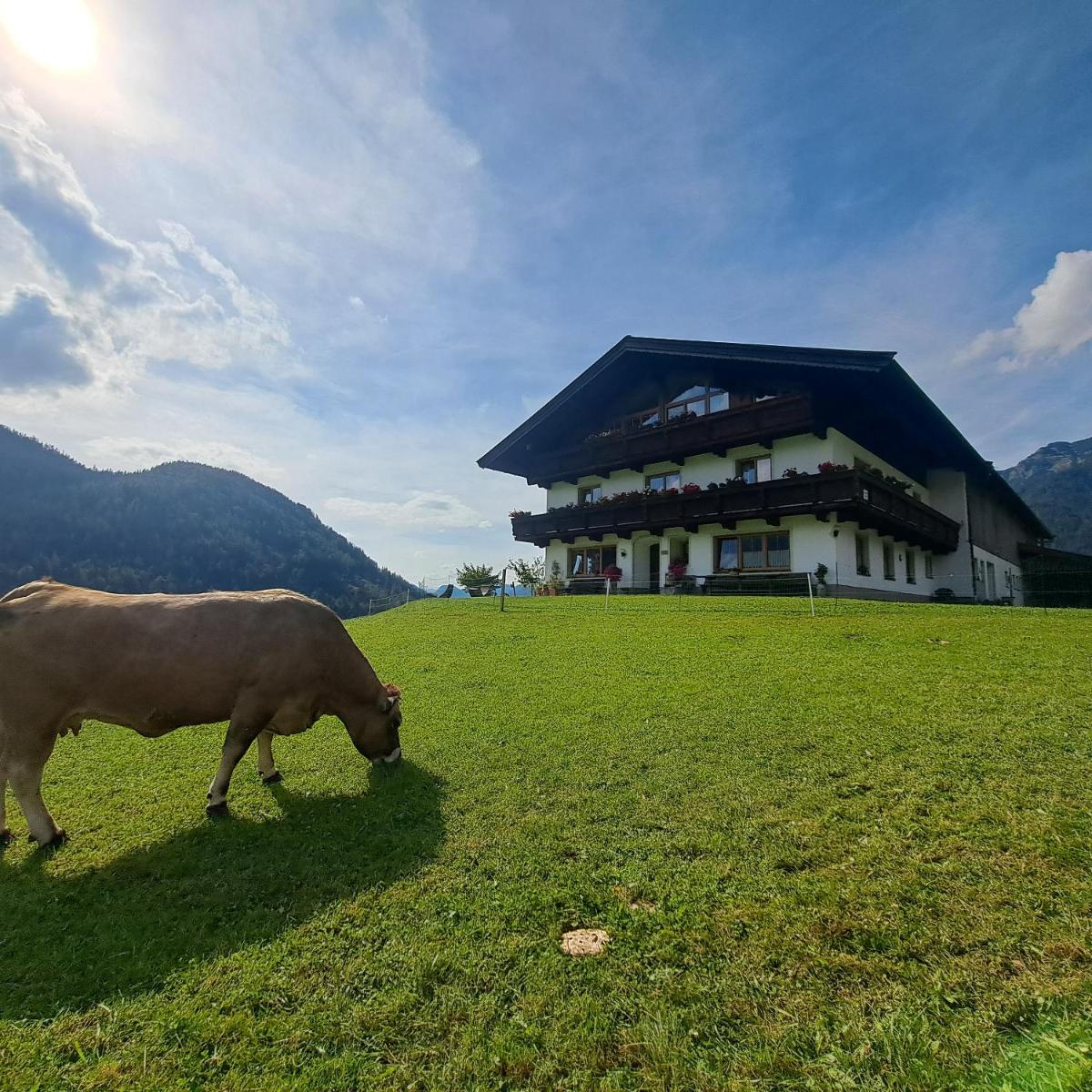 Bommerhof - Housity