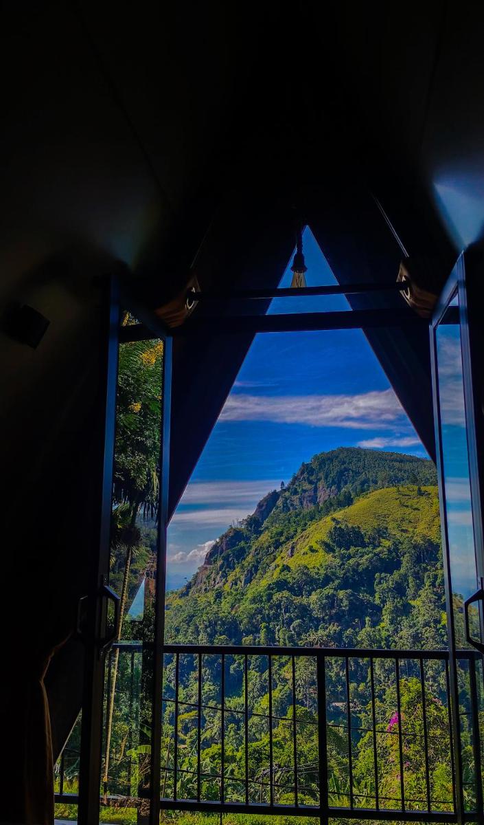 Ella Happy View - Hizvo