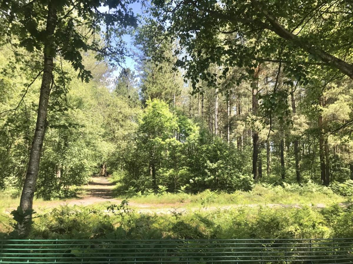 Forest View at Oakdene Forest Park - Leisure Passes Included! - Housity