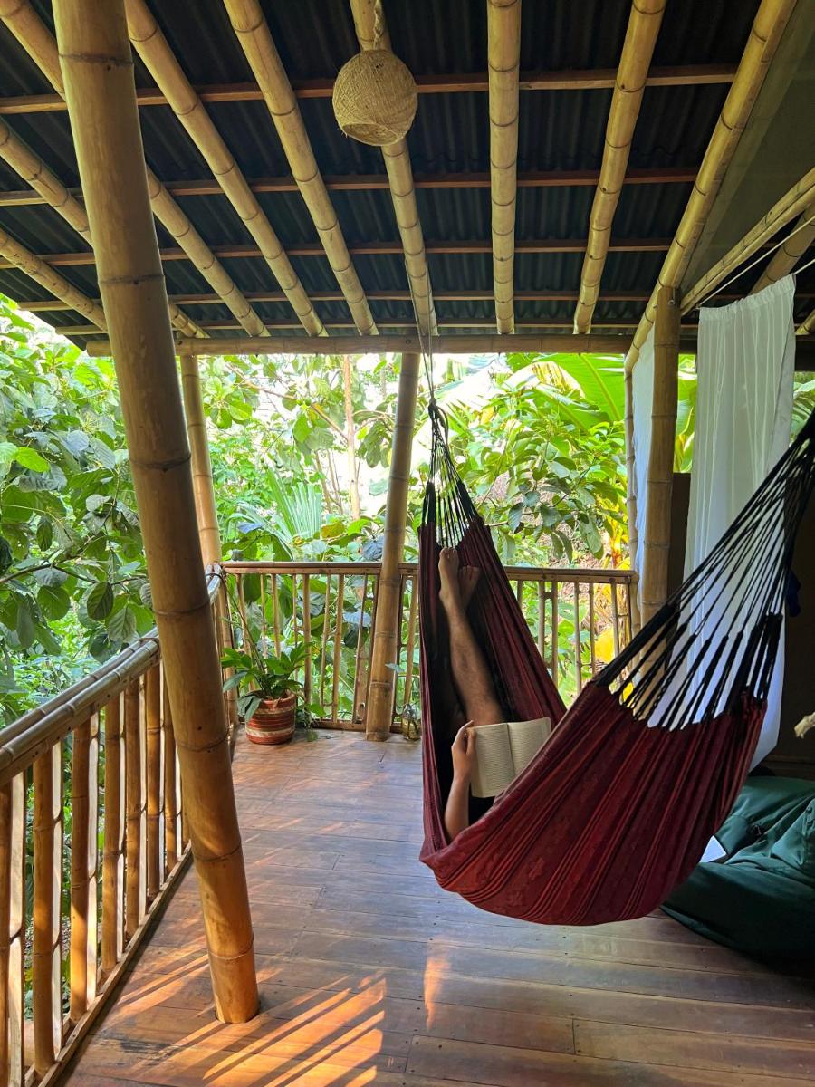 Finca La Selvita Chocolate experience - Housity
