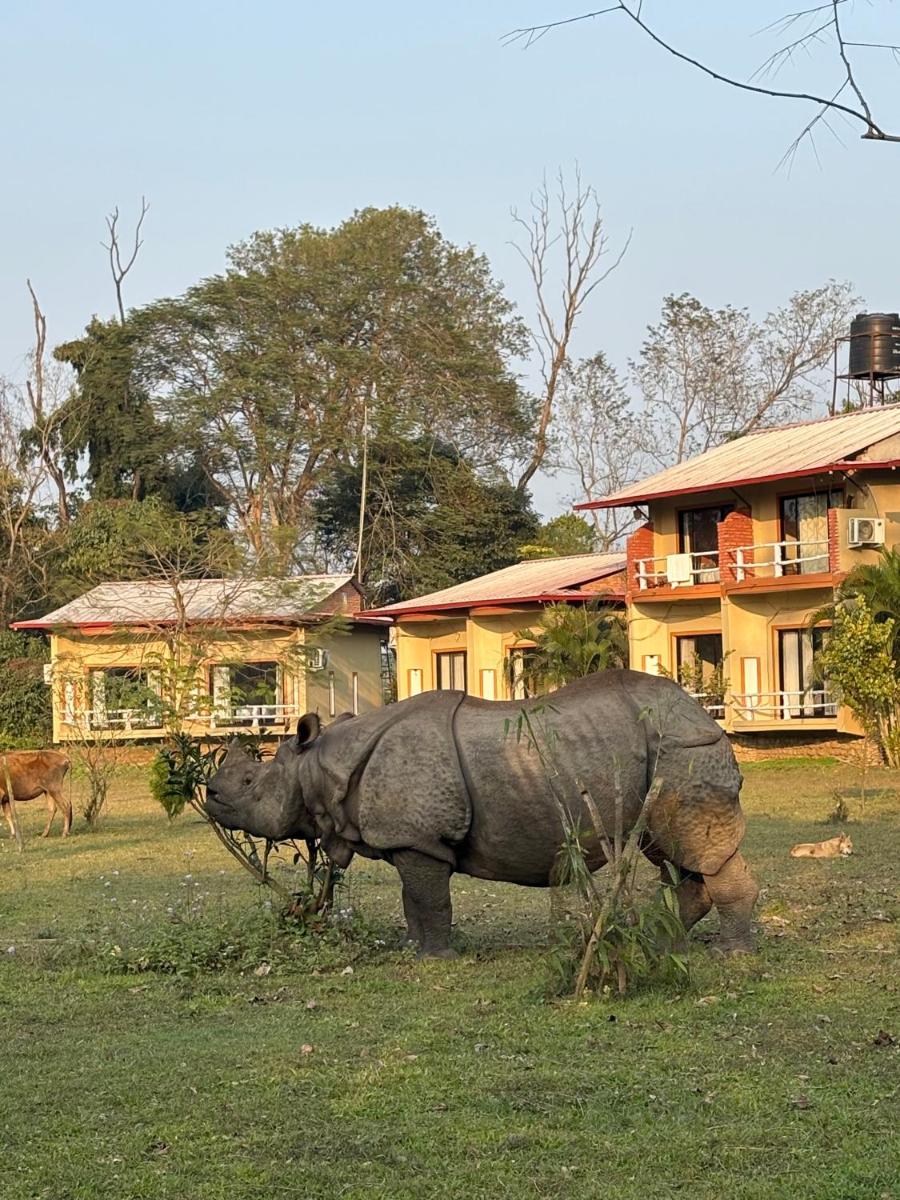 River Park International Resort - Housity