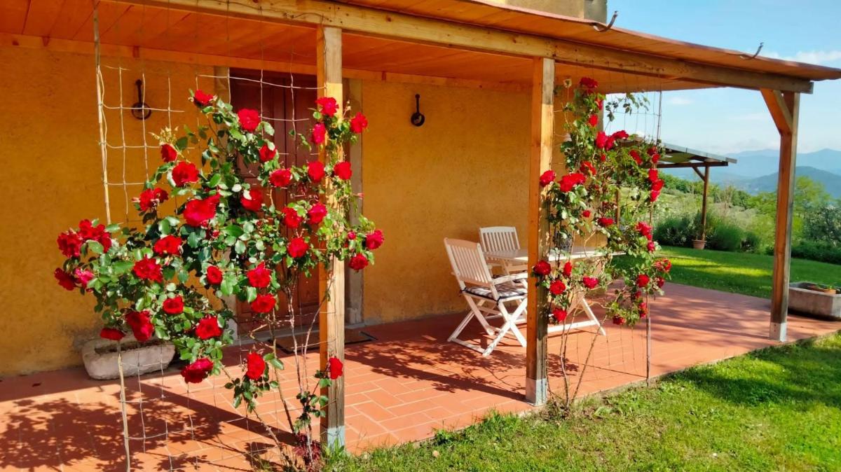 Vigna del Poggio - Housity