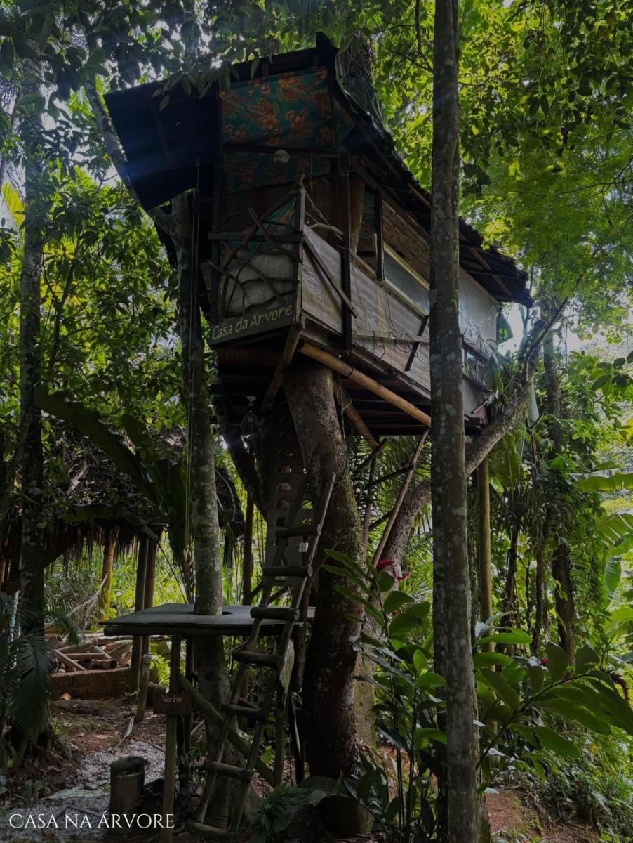 Sitio Simple Life - Housity