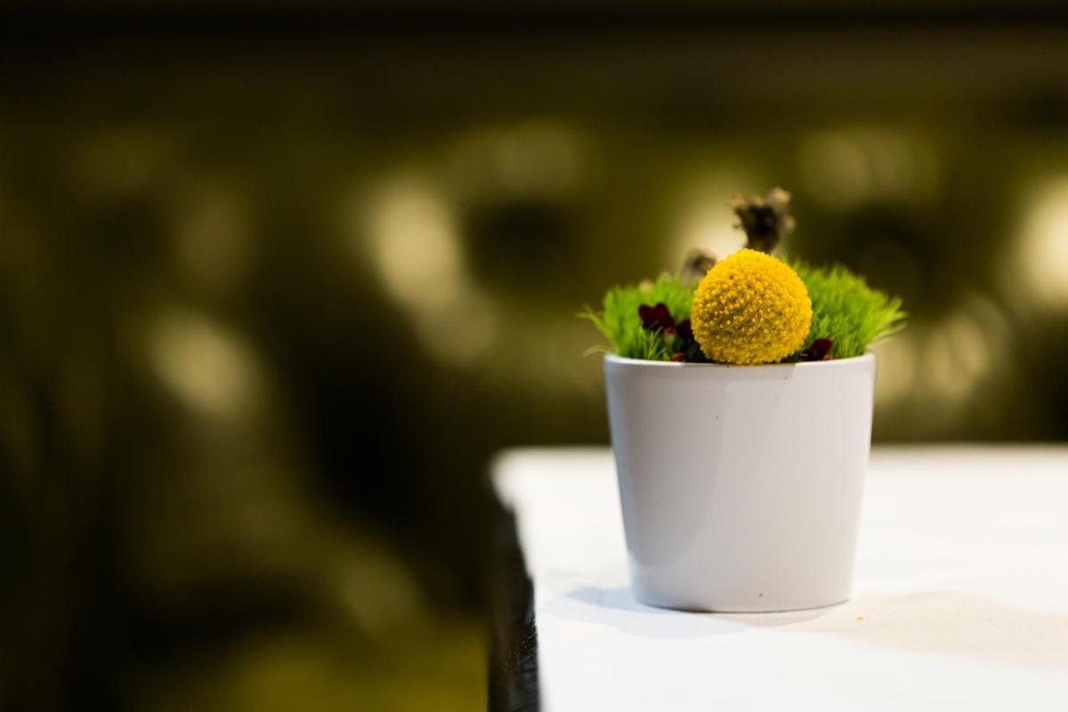 Nourriture dans l'hôtel ou à proximité