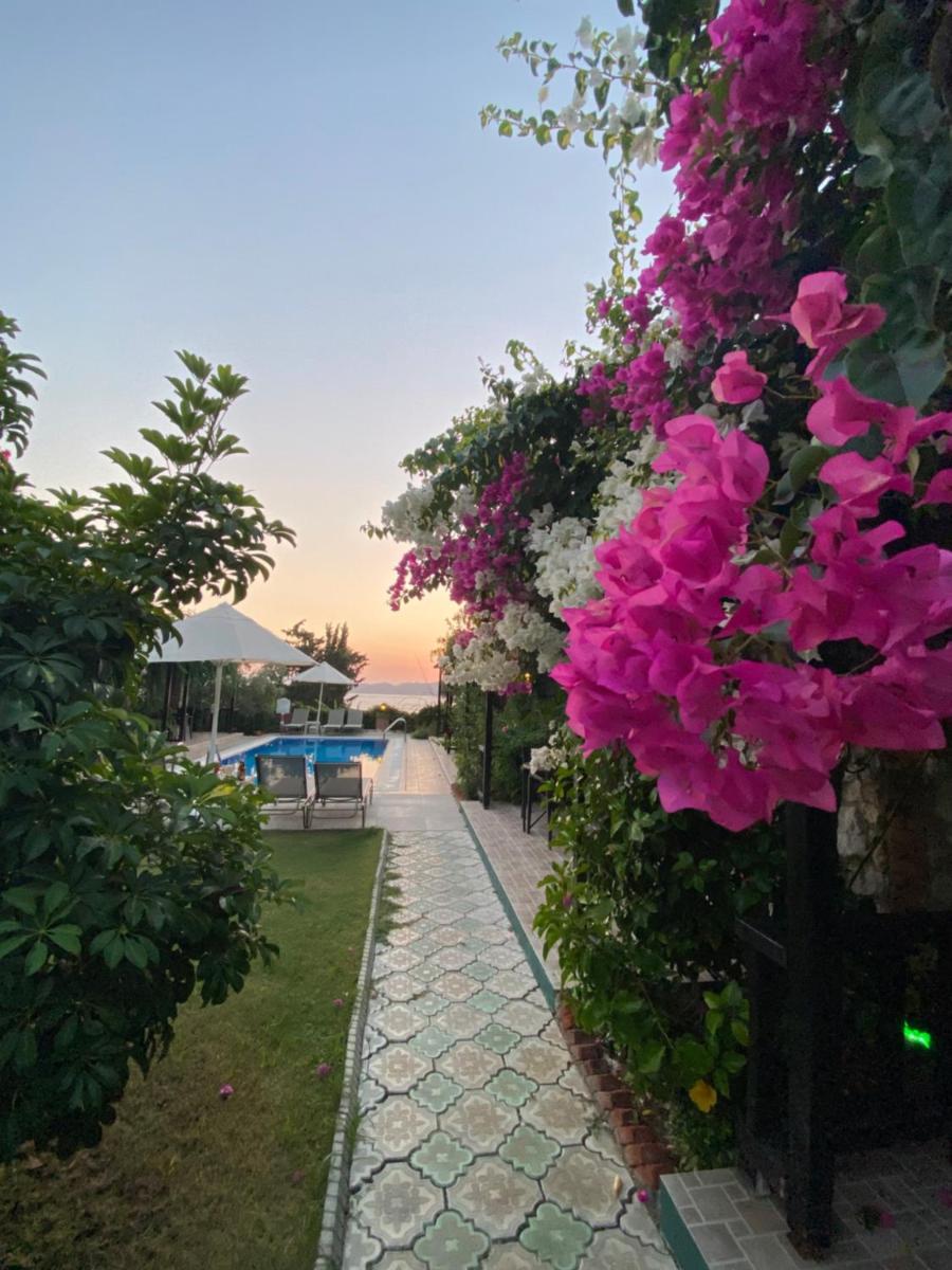 Suna House - Housity