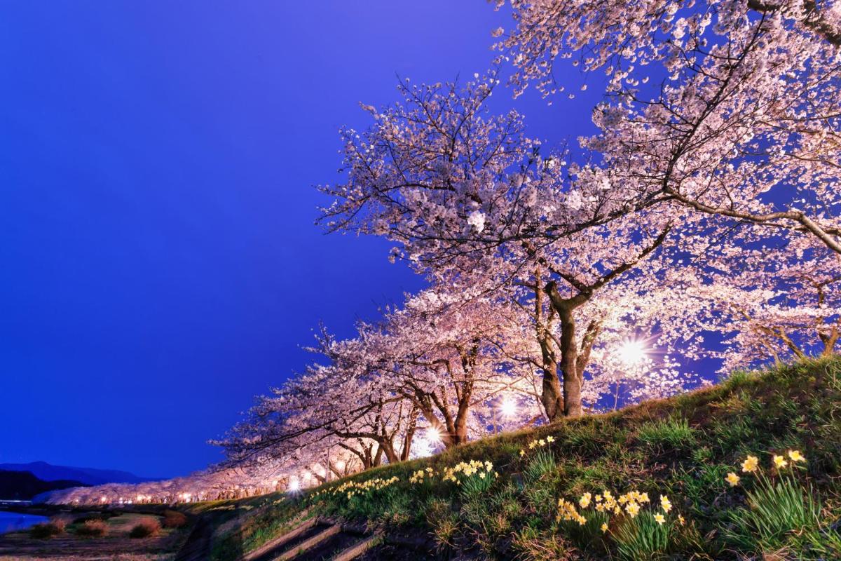 Tazawako Lake Resort & Onsen - Housity