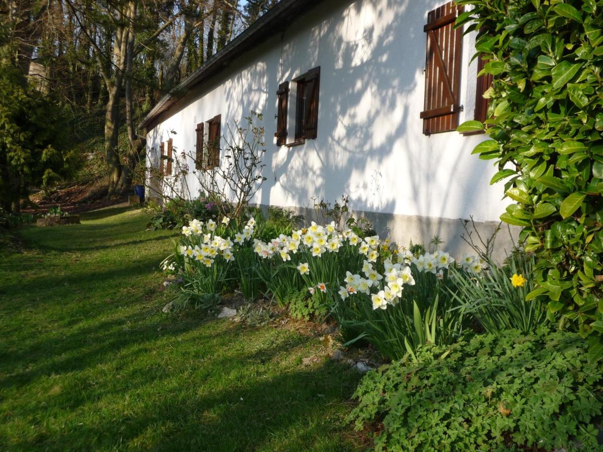 Mont Blanc - locations de charme - Housity