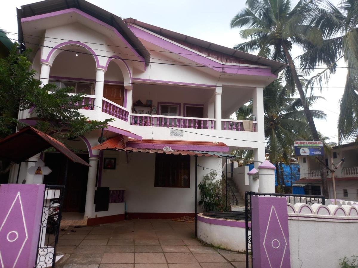 Goa tour advisor & hospitality - Housity