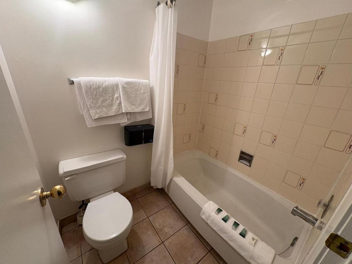 Affordable Choice-Lillooet Hotel Victoria - Housity