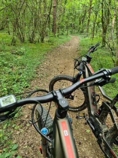 Vélo sur le terrain de l'établissement Domaine Du Roncemay - Hôtel, Restaurants, Spa & Golf ou dans les environs