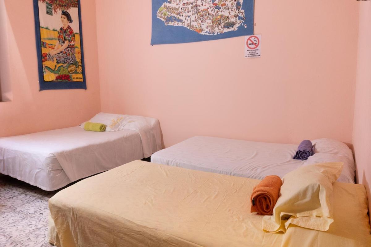 Hostal Delmy - Housity