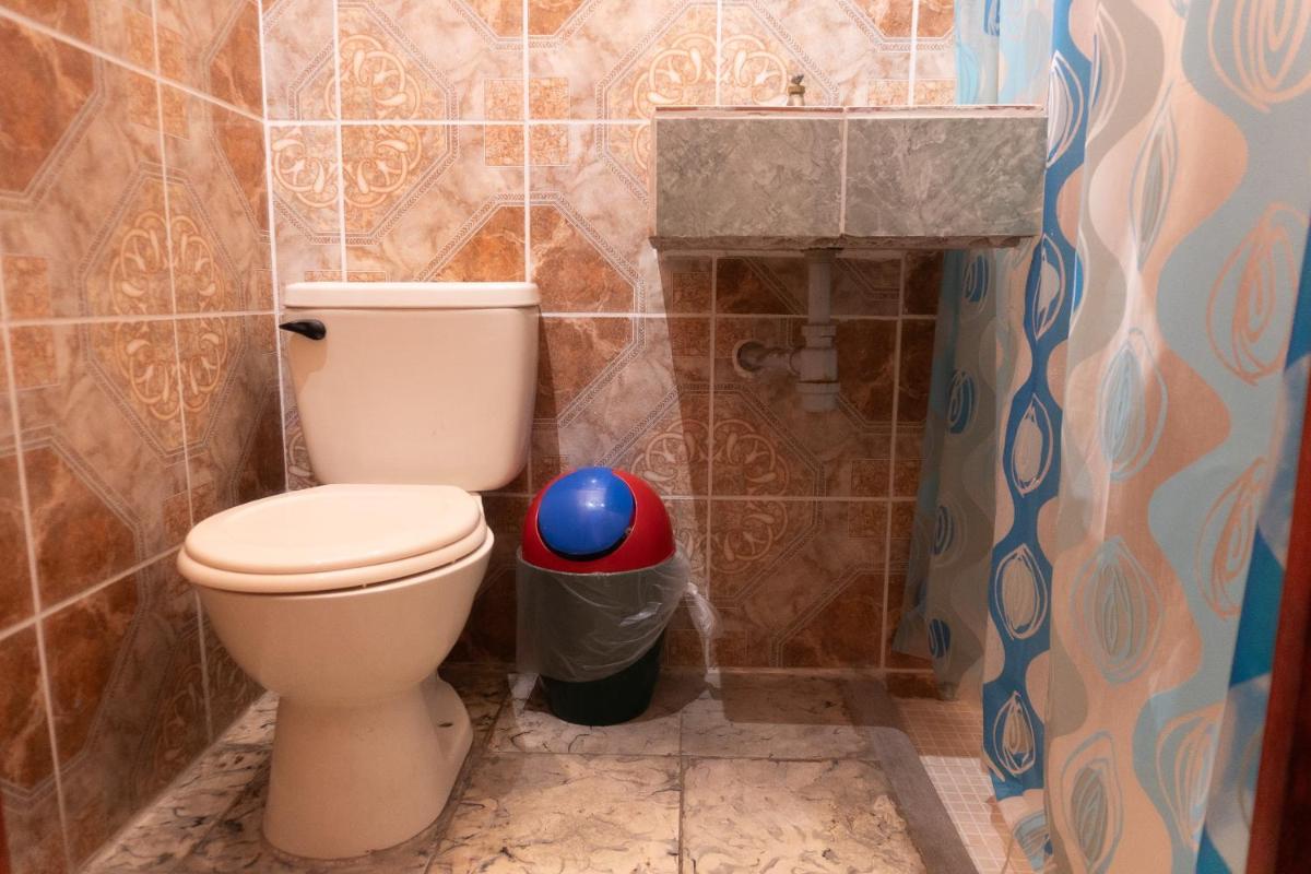 Hostal Delmy - Housity