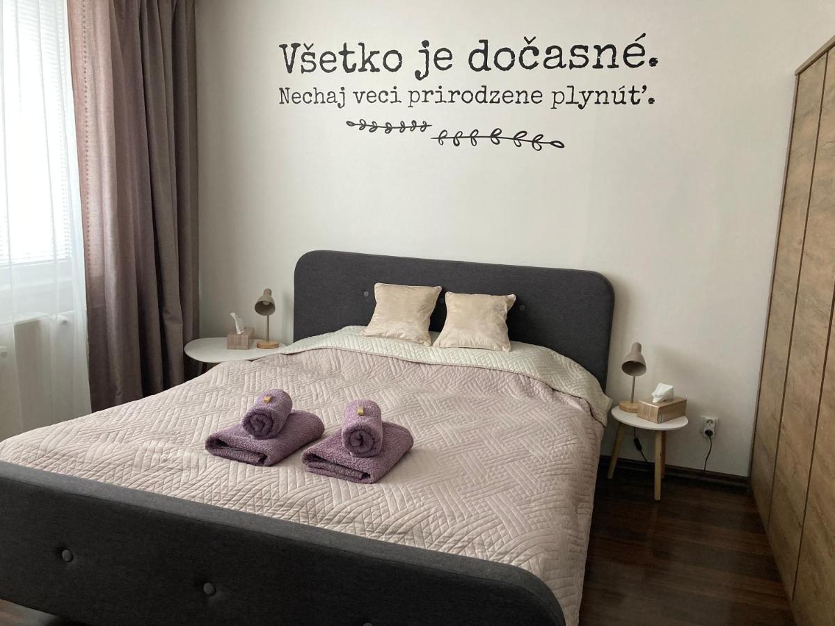 Apartmán Zemplín - Housity