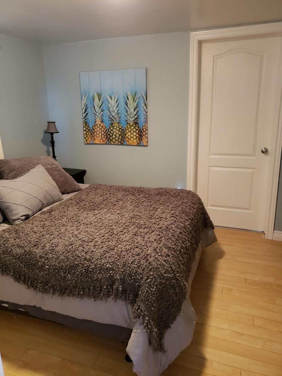 Cape Calabogie Cottage - Housity