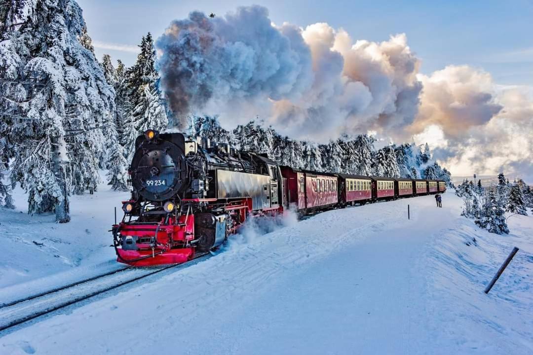 Haus Lauterberg - Das Urlaubsdomizil im Harz - Housity