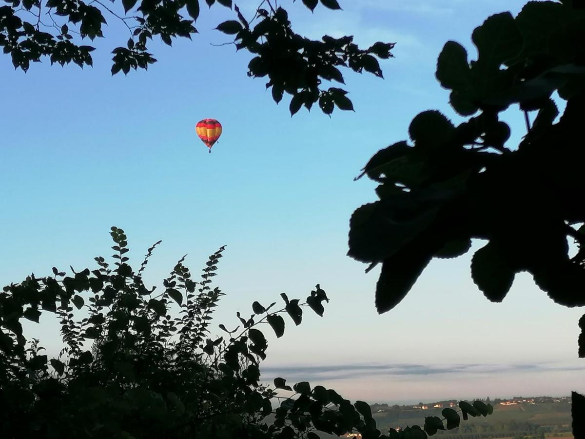 Les Vignes du Château Duras Wifi et Belle vue - Housity