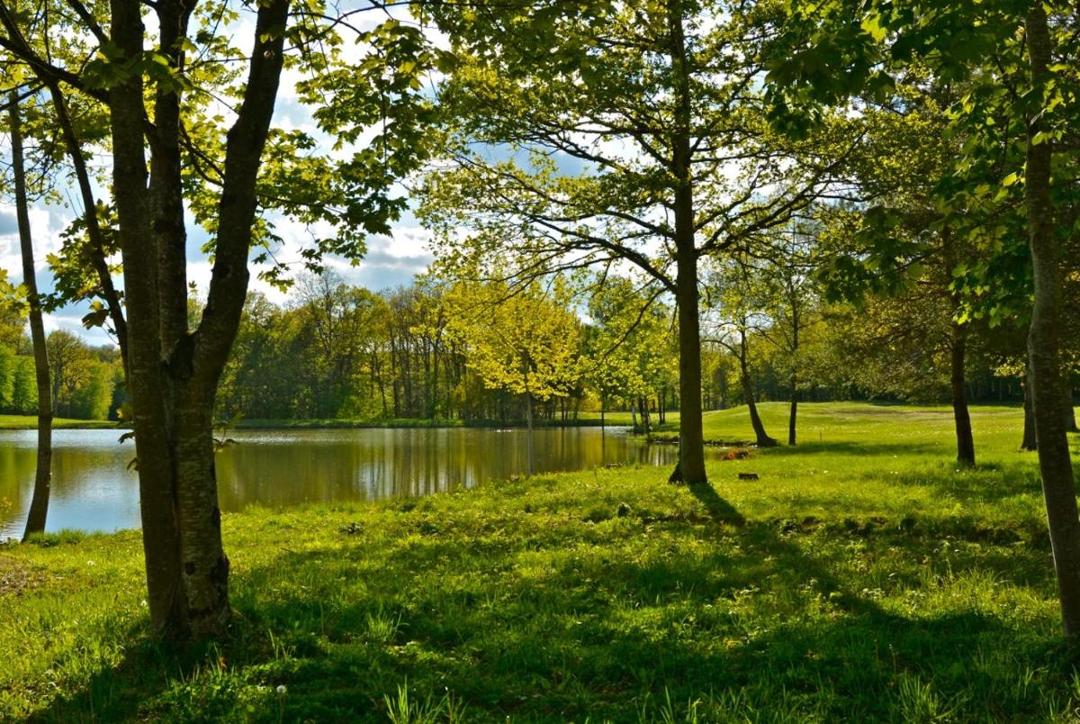 Paysage naturel près de l'hôtel