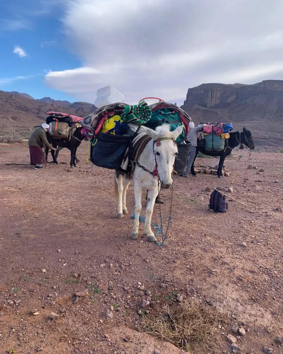 Dades mountain camp - Housity
