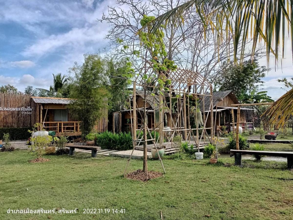 สวนเกษตรรักษ์ไผ่ Bamboo Conservation Farm - Housity