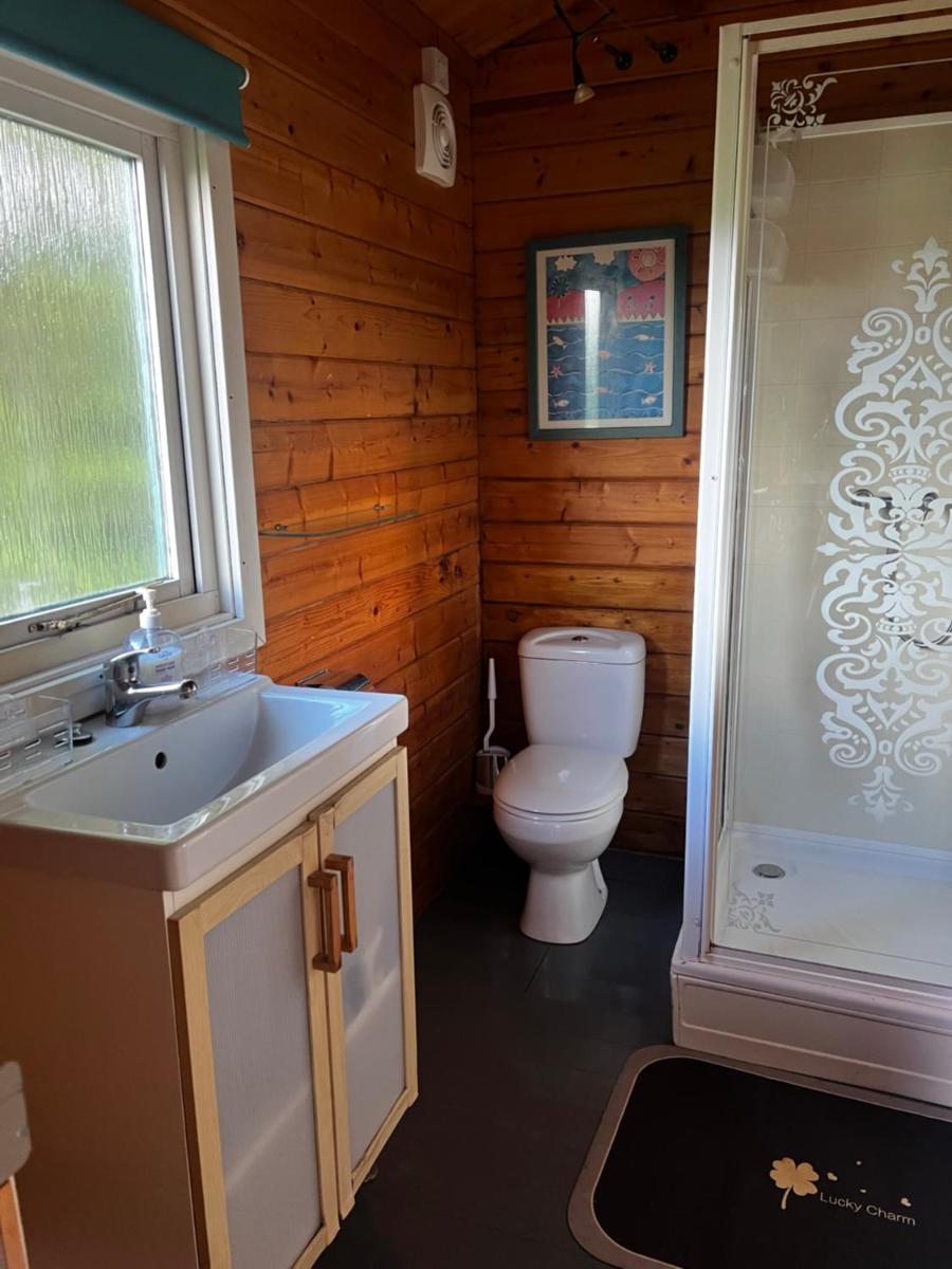 Tudor Lodge with pool & BBQ cabin - Housity