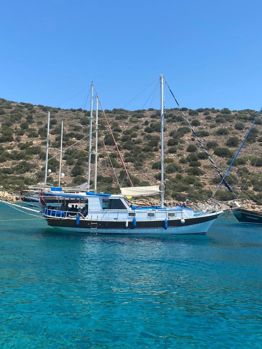 Bodrum Private Boat Tours -Daily -Yacht Tours Bodrum - Housity