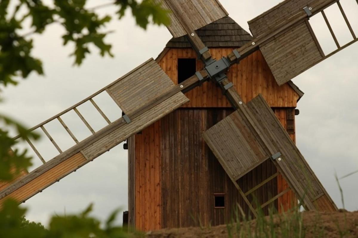 Ferienwohnung Windmühlenberg - Housity