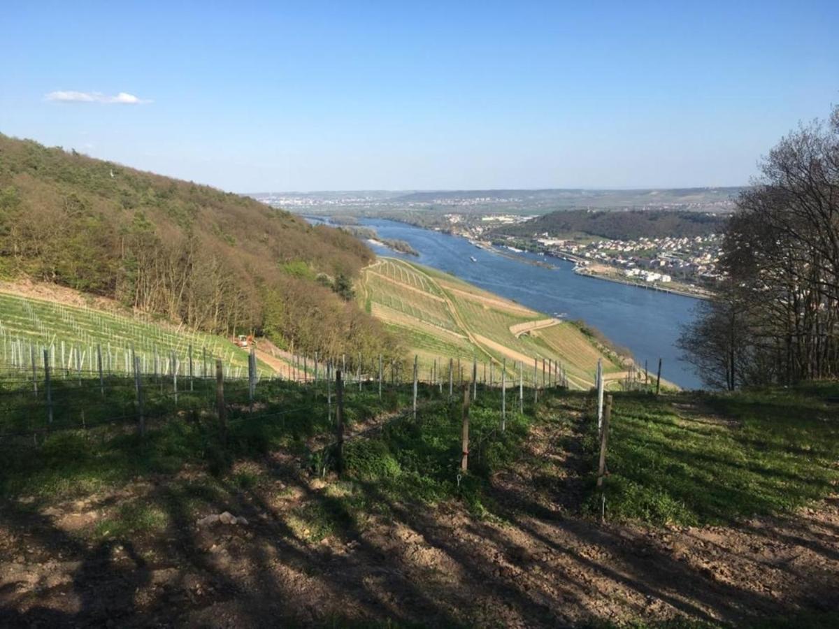 Apartment am Rheinsteig ,privater Vermieter - Housity
