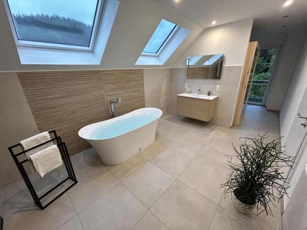 Wellness holiday home with steam bath & sauna in the Eifel - Housity