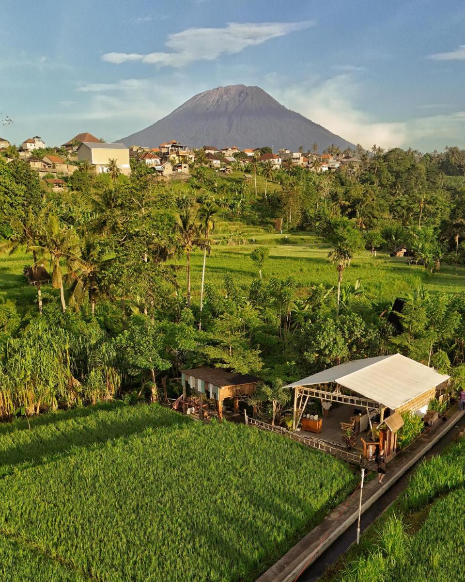 Camani Glamping - Housity
