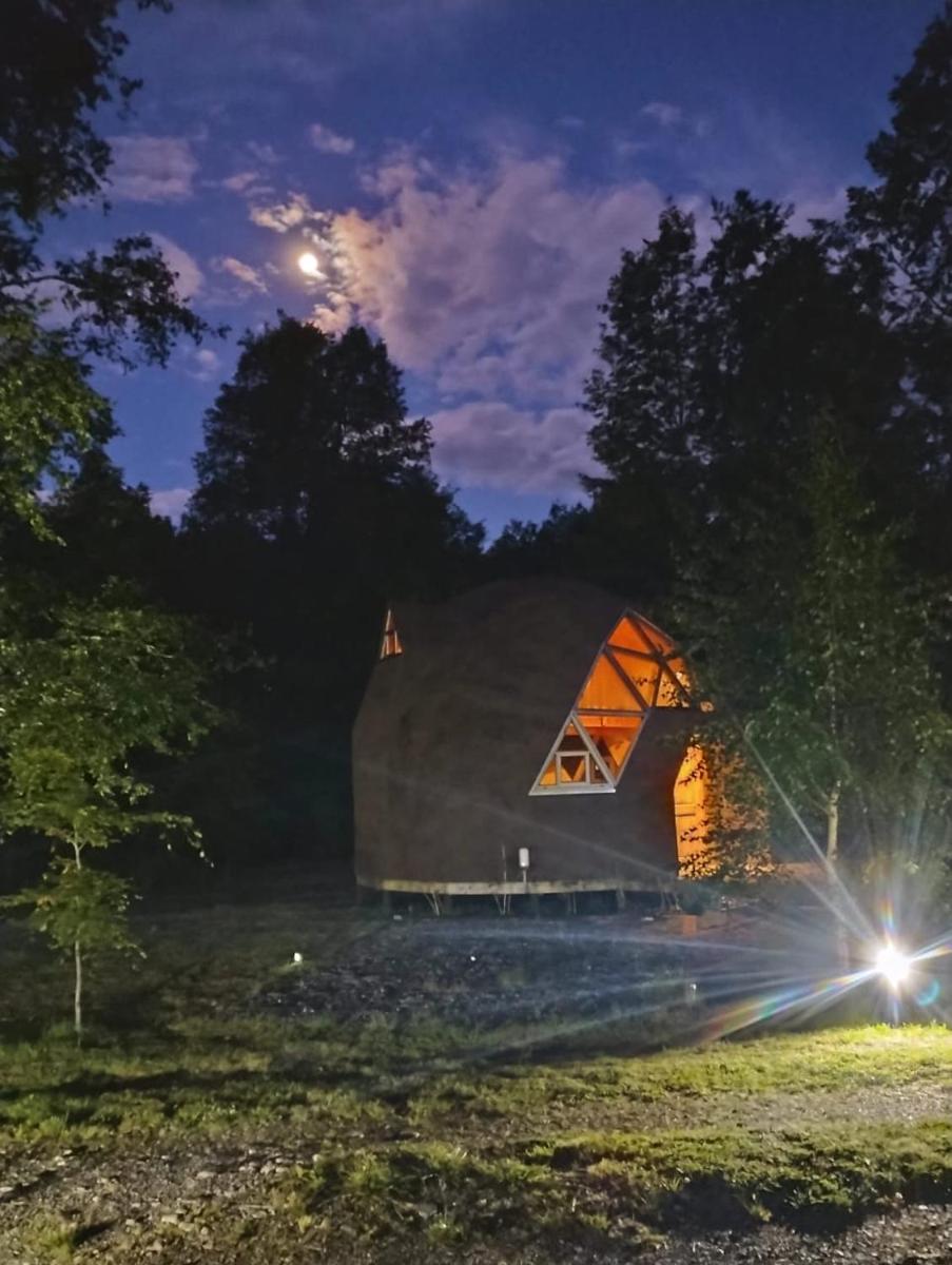 Refugios del Ranco - Housity