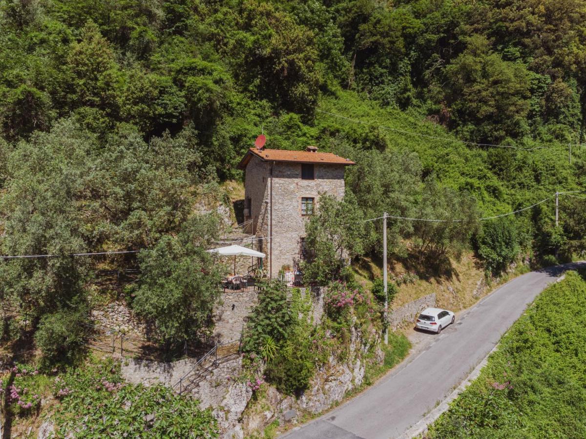 Holiday Home L'Oliveto by Interhome - Housity