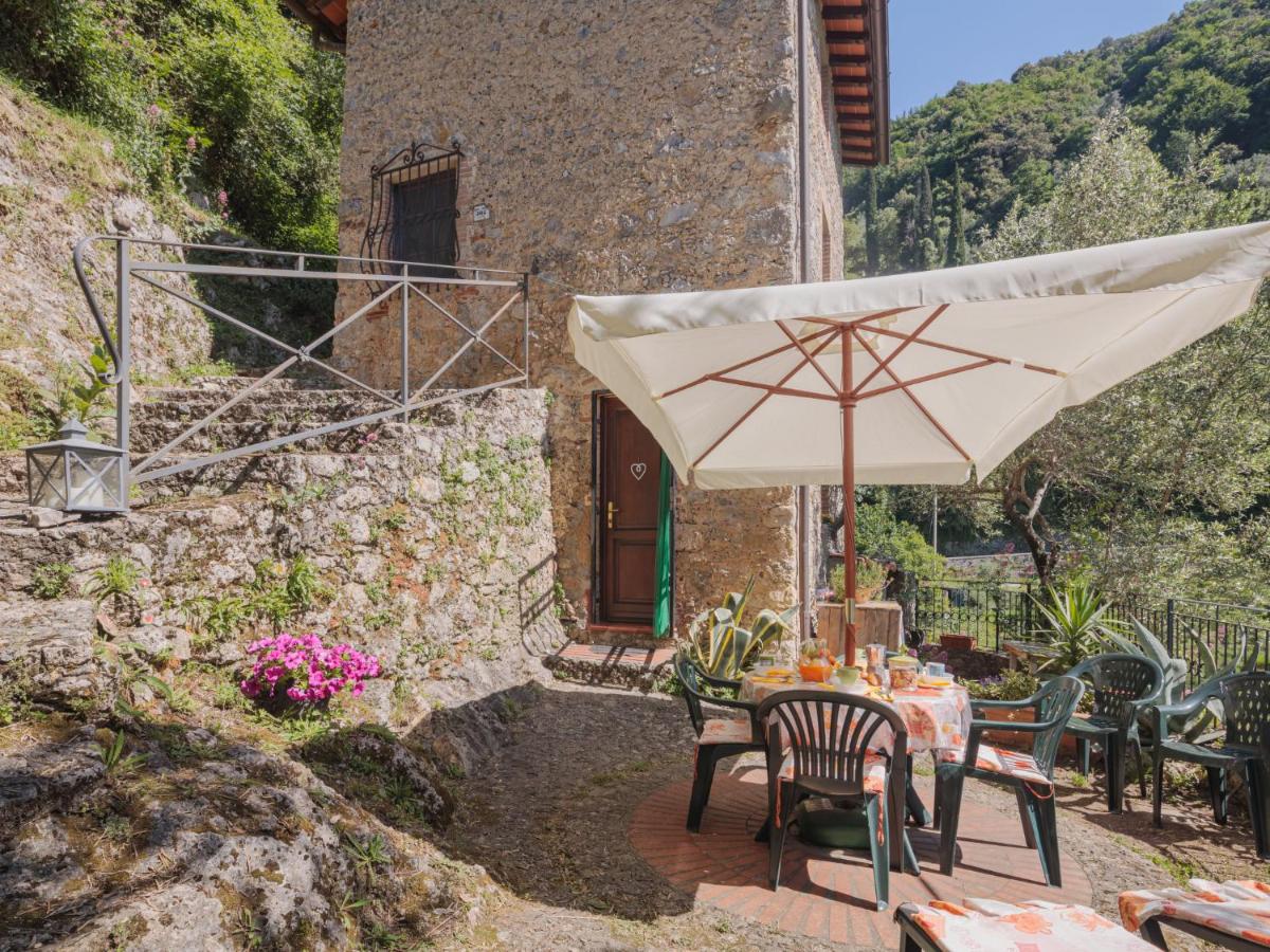 Holiday Home L'Oliveto by Interhome - Housity