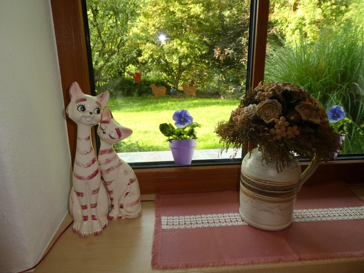 Öko-Ferienwohnung im Landhaus Hübner - Housity