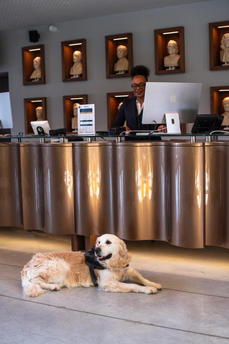 Animal ou animaux domestique(s) séjournant avec des clients dans l'établissement Ki Space Hotel & Spa - near Disneyland Paris