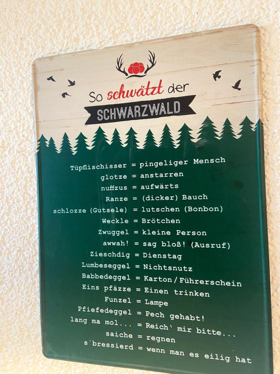 Fewo 1 - Residenz Schauinsland - mit Sauna, E-Ladestation, Todtnauberg, bei Feldberg - Housity