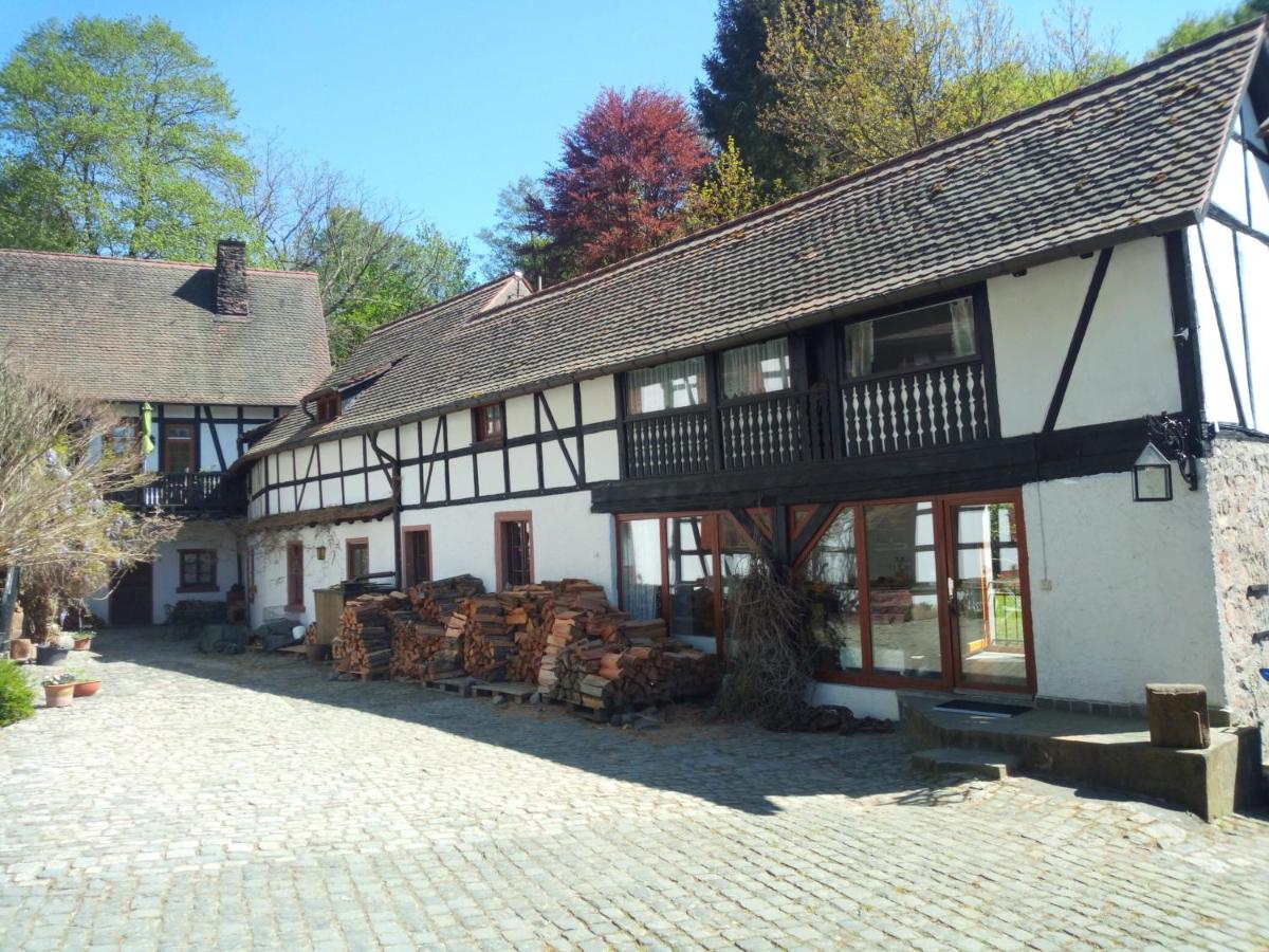 Bachgeflüster 2,5 Zimmer mit Offline- Terrasse und Grillplatz - Housity